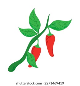 red chilli peppers plant icon