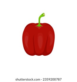 Red chilli, a spicy vegetable on a white background.
