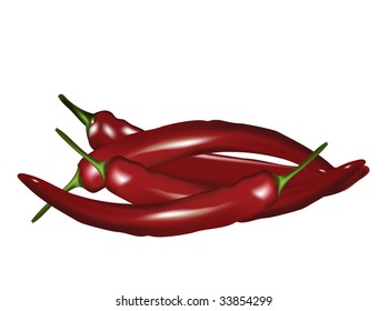 Red chilli. Vector illustration.