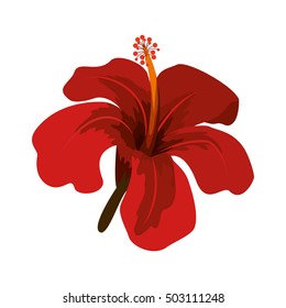 red Chinese rose with trumpet shaped petals
