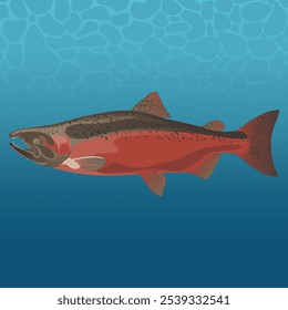 Red Chinook Fish Vector Image