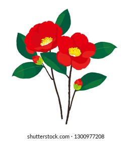 Red Christmas Camellias. Vector illustration,  red camellias blooming in winter.