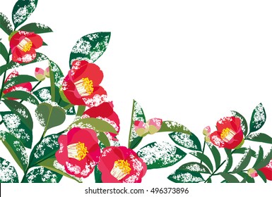 Red Christmas Camellias. Vector illustration