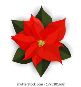 Red Christmas poinsettia flower isolated on white background. Vector Illustration EPS10