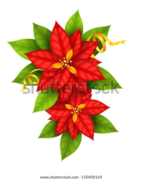 Red Christmas Star Flowers Poinsettia Gold Stock Vector (Royalty Free ...