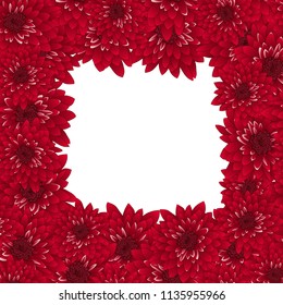 Red Chrysanthemum Border isolated on White Background. Vector Illustration.