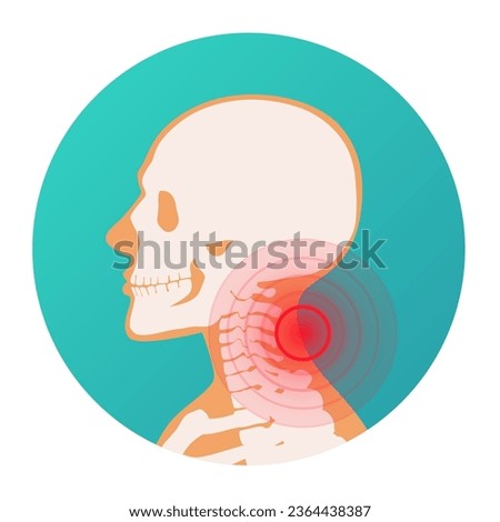 Red circle pain localization in the neck of the human body, skeleton, joints and bones