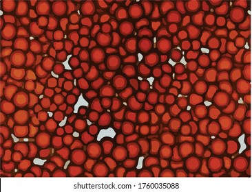 roter Hintergrund. 3D-roter Hintergrund-Vektorgrafik. Rote Blütenzellen Kunst. Rotes Muster Kunsthintergrund.