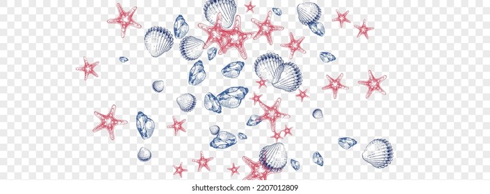 Red Clam Background Transparent Vector. Starfish Tropical Graphic. Nautical Wallpaper. Ultramarine Scallop Pretty Illustration. Orange Snail.
