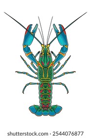 Red Claw Crayfish detailed vector top view with staggering colourful exoskeleton 