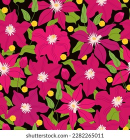 Flores rojas clematis sin fisuras sobre fondo negro para telas, textiles, papel pintado, papel, afiche. Ilustración botánica vectorial