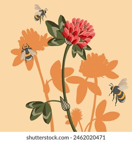 red clover and bumblebees, field flowers and bees, vector drawing wild plants and insects , floral background, hand drawn botanical illustration