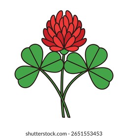 Red Clover Flower with Green Three Leaf Clovers shamrock
