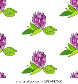 Red clover shamrock wild field flower hand drawn colorful illustration isolated on white background, Vector seamless pattern, graphic floral texture backdrop for cosmetic,design package tea, wallpaper