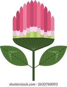 Red clover Trifolium partense vector illustration 