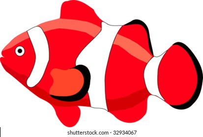 red clown fish
