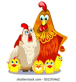 Red cock with his wife and children. The symbol of the year on a white background. White chicken and yellow chicks.