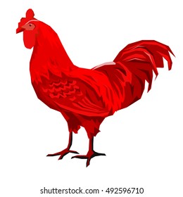 red cock vector, fire rooster symbol of new year 2017