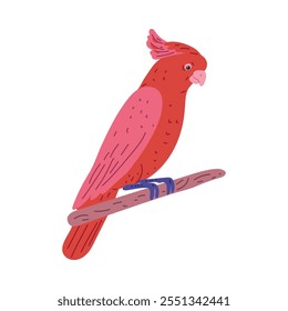 Loro rojo de la cacatúa que se sienta en una rama, Ilustración vectorial en el fondo blanco aislado. Carácter infantil de la historieta del pájaro exótico. Fauna. Vista lateral. Icono plano para el diseño.