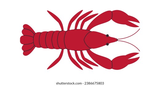 red color crawfish or lobster ocean underwater wild nature animal fresh healthy delicious seafood meal