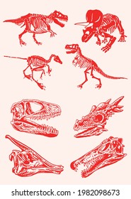 Red color set of skeletons and skulls of dinosaurs,vector illustration