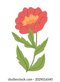 Red color summer flower vector flat design illustration