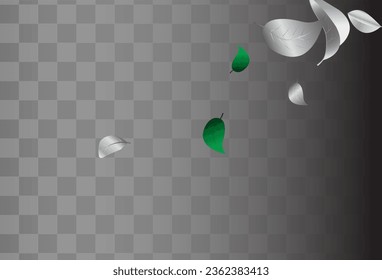 Red Color Transparent Vector Black Transparent Background Branch. Realistic Leaves Background. Swamp Foliage Motion Illustration. Leaf Blur Template.