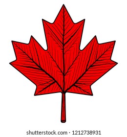 Red colored. Canadian flag maple leaf with spines 