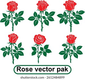 Red Colour With Green Leaf Rose Vector pak Illustration