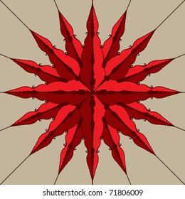 red compass star
