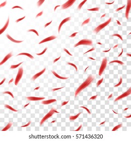 Red Confetti Flying on Transparent Background