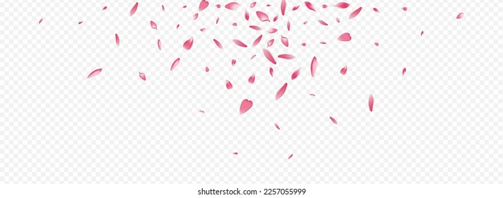 Red Confetti Vector Panoramic Transparent Background. Blooming Wedding Template. Leaf Valentine Cover. Lotus Romance Banner. Pink Rose March Design.