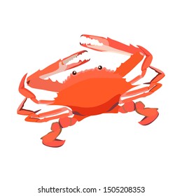 Red cooked crab icon isolated on white background, fresh seafood, healthy tasty food, vector illustration