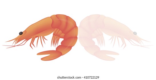 Red cooked shrimp isolated  with shadow and glare on white background. Seafood menu for meal or dinner. Healthy eating. Marine product. Design for restaurant menu, logo, promo poster, flyer or product