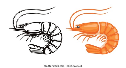 Red cooked shrimp and vector hand drawn shrimp isolated on white background	