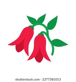 red copihues illustration vector isolated