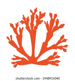Red coral animals on white background logo icon