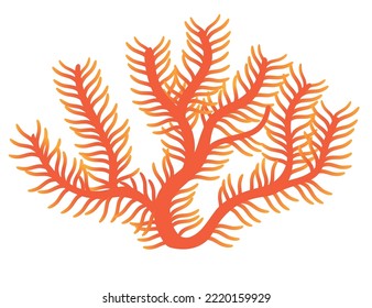 Red coral tropical underwater sea life vector illustration isolated on white background