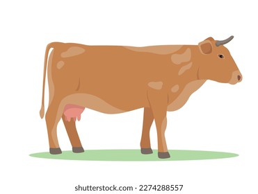 Red Cow icon isolated on white backfround. Limousine. The Best Beef Cattle Breeds. Dairy cattle. Farm animal. Vector flat or cartoon illustration.
