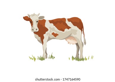 Red cow. Vector illustration on the theme of dairy products and livestock, watercolor style.