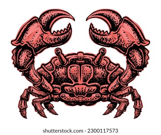 Red Crab with claws isolated. Sea animal, seafood vector illustration