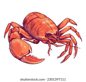 red crab design illustration over white