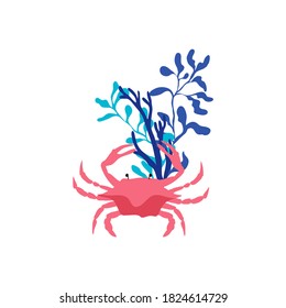 Red Crab Floating Among Sea Weeds Vector Illustration. Sea Animal and Wild Underwater Fauna Concept