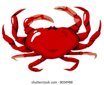 Red Crab Highly Detailed Original Artwork Stock Vector (Royalty Free ...