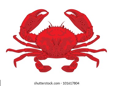 RED CRAB Royalty Free Stock SVG Vector and Clip Art