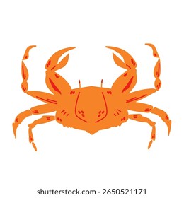 Red crab illustration isolated on white background.