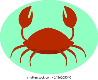 Caranguejo vermelho, ilustração, vetor sobre fundo branco.