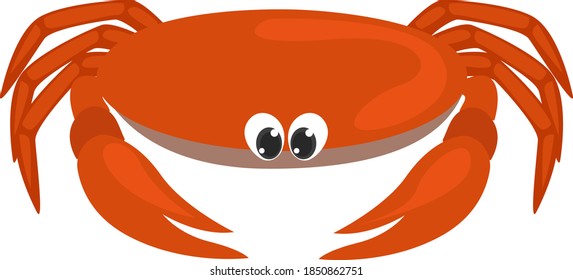Red crab, illustration, vector on white background