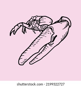 Red crab isolated animal with pincers cartoon sketch icon. Vector hand drawn ocean crab, decapod crustacean. mall snow-crab underwater character with eight legs and two claws. Seafood marine food