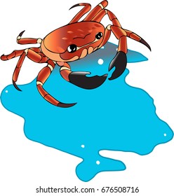 Red crab isolated with blue water background. Stock vector illustration.